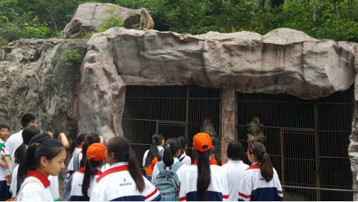 第三期研学旅行纪实 | 河南师大实验中学的研学之旅