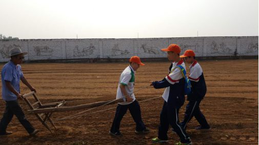 第三期研学旅行纪实 | 河南师大实验中学的研学之旅