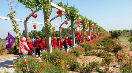第一期研学旅行纪实 | 新乡市第四十二中学的研学之旅
