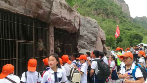 第一期研学旅行纪实 | 新乡市第四十二中学的研学之旅