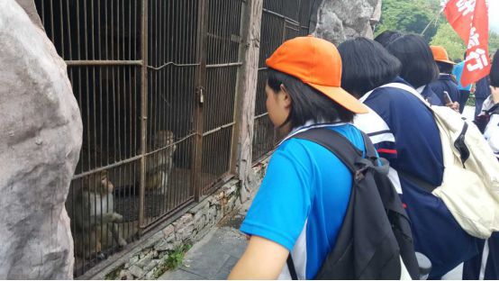 第二期研学旅行纪实 | 新乡市第七中学的研学之旅